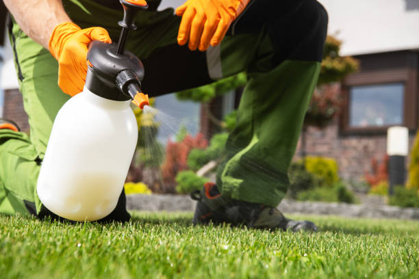 Best Wasp Removal Services  in Brentwood, NY
