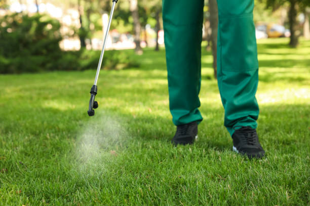 Best Commercial Pest Control Services  in Brentwood, NY