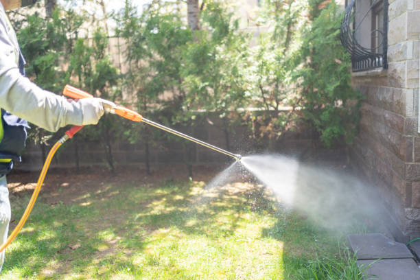 Wildlife Control Services in Brentwood, NY