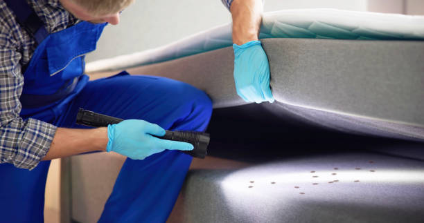 Best Best Pest Control Companies  in Brentwood, NY