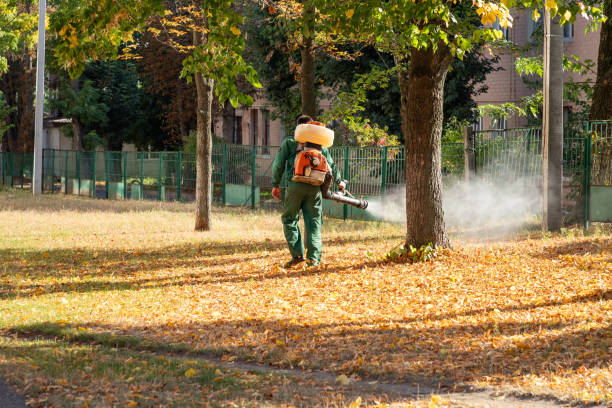 Best Pest Removal Services  in Brentwood, NY