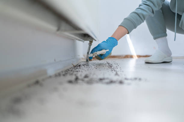 Best Bed Bug Extermination  in Brentwood, NY